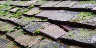 Pontantwn roof repair costs